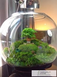 Inspiration 15 Amazing Terrarium Ideas With Moss Ferns Air Plants And Succulents Home Decor Singapore In 2020 Terrarium Jar Terrarium Garden Terrarium