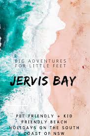 Pet Friendly Jervis Bay In 2020 Travel Fun Pet Friendly Holidays Family Friendly Activities