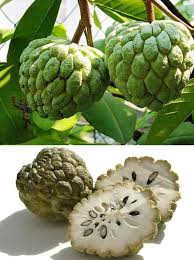 Pin On Fruits Et Legumes