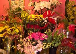 Image result for poczta kwiatowa katowice