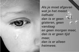 Pin Op Plukjeafscheid Woorden