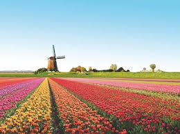 أعظم 30 حكمة لتطوير شخصيتك. Ù‡ÙˆÙ„Ù†Ø¯Ø§ Ù‡ÙˆÙ„Ù†Ø¯Ø§ Ø¨Ø§Ù„Ø¹Ø±Ø¨ÙŠ Nederland In Het Arabisch Facebook