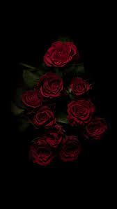 Maybe you would like to learn more about one of these? Roses Black Flowers Wallpapers Vip