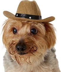 5 out of 5 stars. Rubie S Costume Company Brown Cowboy Hat Dog Cat Costume Small Medium Chewy Com
