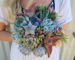 Über 80% neue produkte zum festpreis; 7 Succulent Bouquets You Wish You Knew About Succulent City