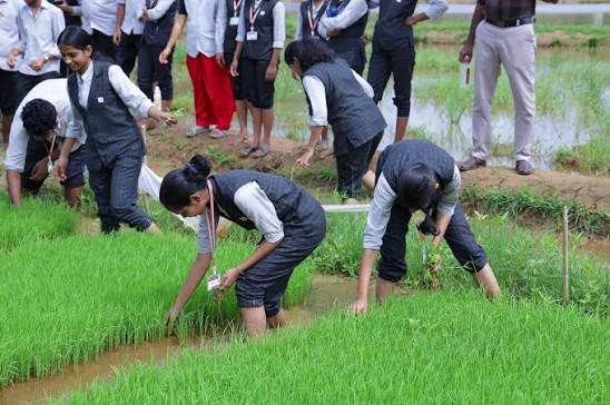 Agriculture Jobs
