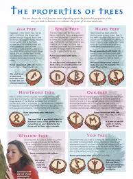 Magical Properties Of Wood Divination Runes Norse Runes Book Of Shadows