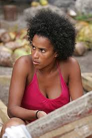 Image result for Erica wildii