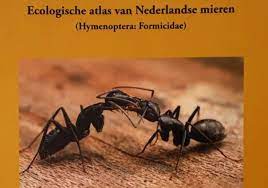 The sheer number of ants in a single colony can seem overwhelming at times. Book Review On The Ants Of The Netherlands Myrmecological News Blog