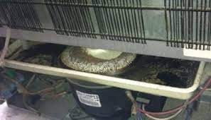 When humidity freezes, it forms frost on the exposed surfaces in the freezer compartment and on the evaporator coil. Freezer Is Leaking Water From Bottom Drain Tube Frozen Or Clogged