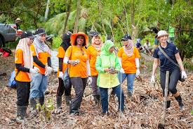 Malaysian sdn bhd company enquiry form. Ericsson And Edotco Malaysia Partner To Grow Connected Mangroves Project
