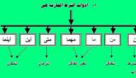 أدوات التشبيه موضوع