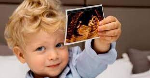 Leone lucia ferragni is a member of richest celebrities and family members. Chiara Ferragni Pregnant Leone Announces It On Instagram World Today News