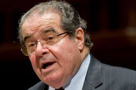 Scalia: Stupidity constitutional