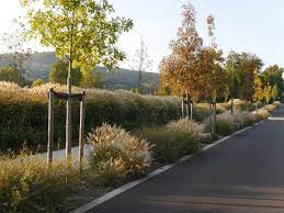 We did not find results for: In Situ Rochetaillee Banks Of Saone 11 Landscape Architecture Works Landscape Architecture Landscape Landscape Design
