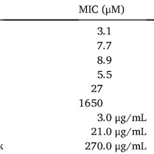 Image result for Eriosema montanum