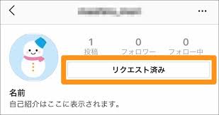 インスタグラム 非公開アカウント をフォローする方法 リクエストを送るには Tipstour