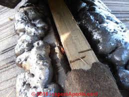 We did not find results for: Cathedral Ceilings Insulation Faqs 2 Q A On Solving Cathedral Ceiling Vent Issues