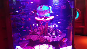 Sealife Malaysia At Legoland Johor Malaysia In 2020 Legoland Malaysia Travel Sealife
