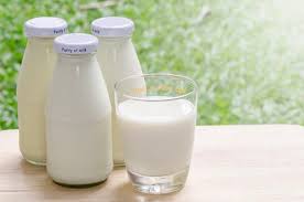 Lait Ribot Composition Vertus Utilisations Ooreka