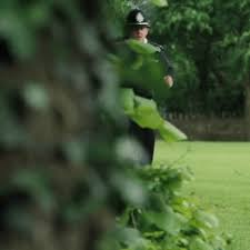 Simon Pegg Swan Gif By Working Title Find Share On Giphy Gabe and i just finished watching hot fuzz. giphy