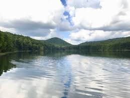 The most popular species caught here are largemouth bass, black bullhead, and channel catfish. Beaver Trail Michaux State Forest Pa Myhikes
