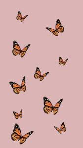 For wallpaper, wedding card invitation, texture web template. Cute Butterfly Wallpapers Top Free Cute Butterfly Backgrounds Wallpaperaccess
