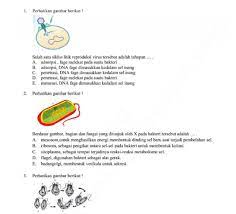 Check spelling or type a new query. Soal Try Out Ucun Biologi Sma Prodi Ipa Dki Jakarta Tahun 2019 Diajar Nyaho Diajar Nyaho