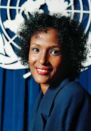 Image result for Disa walleri