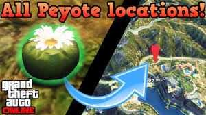 They are regular lophophora williamsii plants but differ in the fact that they sprout alot. All Peyote Plant Locations Land Gta Online Guides Youtube