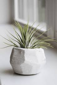 Product title koyal wholesale geometric glass wedding card box, gold wedding reception drop box, terrarium glass planter average rating: 15 Trendy Diy Geometric Planters You Can Easily Make Shelterness