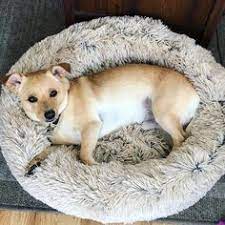 Calming pet bed for dogs. 78 Best 2 Calming Pet Bed Ideas Pet Bed Dog Bed Cat Bed