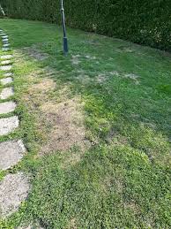 Image result for site:byggahus.se Algomin