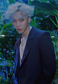 Baron Poison Mv Baron Korean Idol Vav