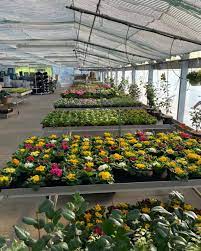 Garten 2000 flensburg weiche öffnungszeiten. Garten 2000 Mehr Startseite Facebook