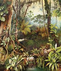 Vintage Jungle Wallpaper In 2021 Jungle Wallpaper Jungle Mural Jungle Wall Mural