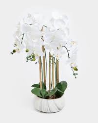 Welcome to the largest online store in central and eastern europe offering artificial flowers, artificial plants and florist decorations, ornaments and accessories. Nfdsmozibc6lbm