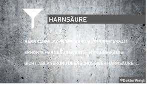 Viel gemüse, milchprodukte und eier. Doktorweigl Erklart Harnsaure Und Hyperurikamie