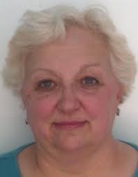 County council field