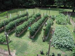 Favorite Vegetable Garden Backyard Garden Layout Garden Layout Home Vegetable Garden