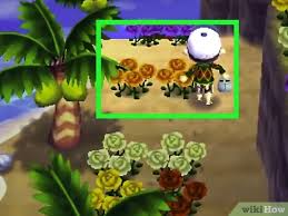 Plant red roses in mesh to create black rose plants and remember to water them cross the black roses in a mesh, in the same way as the red roses and water your plants with the golden watering can. How To Get Blue Roses And Purple Pansies In Animal Crossing New Leaf