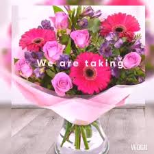 (london, greater london) stephen holmes. Emily S Flowers Omagh Formerly Dobbins 1 George S St Omagh 2021