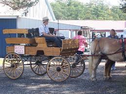 Check spelling or type a new query. Amish Buggy Rides Picture Of The Windmill Farm Craft Market Penn Yan Tripadvisor
