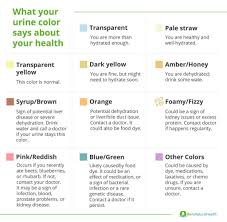 Urine color can tell a lot about your health and can change because of medications, food, and health conditions. What Does Urine Color Say About Your Health Ben S Natural Health