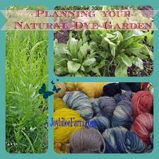 Planting Your Natural Dye Garden For A Full Palette Of Natural Colours How To Dye Fabric Natural Dyes Natural Dye Fabric