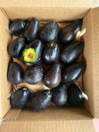 Image result for Dark Avocado 1983 Fedders
