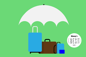 These are questions we don't lik. The 9 Best Travel Insurance Companies Of 2021 Money