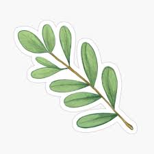Olive Twig Sticker Sticker By Geolescent Homemade Stickers Nature Stickers Diy Stickers
