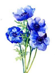 Pin On Watercolor Flowers