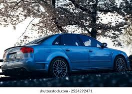 Image result for Caribic Blue 2005 Audi